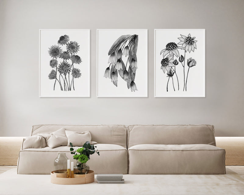 Paper Daisies + Bluebells + Flannel Set of 3 Painting Monochrome Black and White Australian Native Flowers