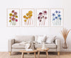 Dainty Delights Charming Set of 4 Australian Floral Natives Watercolour Canvasses and Prints Collection