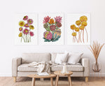 3 Set Bold and Beautiful Australian Native Flowers Watercolour Canvasses and Prints Paintings