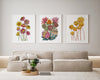 3 Set Bold and Beautiful Australian Native Flowers Watercolour Canvasses and Prints Paintings