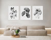 Black White Trio Black and White Leaf Paintings Wall Art Prints