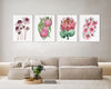 Set of 4 Botanical Bliss Vibrant Watercolour Canvasses and Prints Collection of Pink Flannel, Hakea, King Protea, and Tea Tree