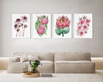 Set of 4 Botanical Bliss Vibrant Watercolour Canvasses and Prints Collection of Pink Flannel, Hakea, King Protea, and Tea Tree