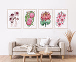 Set of 4 Botanical Bliss Vibrant Watercolour Canvasses and Prints Collection of Pink Flannel, Hakea, King Protea, and Tea Tree