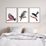 Set of 3 Native Birds of Australia Featuring Pink Robin, Kookabura and Willy Wagtail Watercolour Art Prints and Canvasses