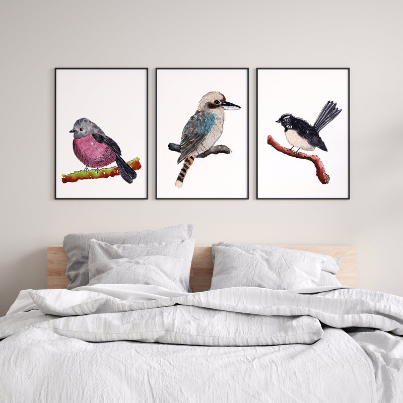 Set of 3 Native Birds of Australia Featuring Pink Robin, Kookabura and Willy Wagtail Watercolour Art Prints and Canvasses