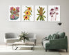 Radiant Australian Native Floral Quartet Watercolour Canvasses and Prints Collection