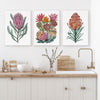 Trio Set of The Majestic Proteas Watercolour Canvasses and Prints Collection