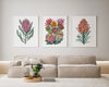 Trio Set of The Majestic Proteas Watercolour Canvasses and Prints Collection