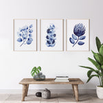 Silver Dollar + Mallee + King Protea Set of Blue Hamptons Leaf Wall Art Canvasses and Prints