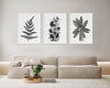 3 Set Black and White Prints Botanical Leaf Decor Modern Minimalism