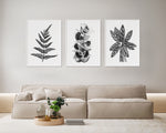 3 Set Black and White Prints Botanical Leaf Decor Modern Minimalism