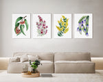 Set of 4 Enchanting Flora Art Watercolour Canvasses and Prints Collection of Silver Princess, Boronia, Gold Dust Wattle, and Bluebells Creeper