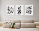 Contemporary Trio Black & White Foliage Painting Prints Collection Small Leaved + Mallee + Silver Dollar