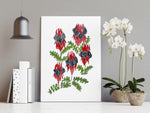 Sturt's Desert Pea Plant Wall Art Print Canvas and Print