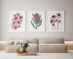 Wild Beauty of Australian Flowers in 3 Set Tea Tree + Queen Protea + Pink Flannel Canvasses and Prints Collection