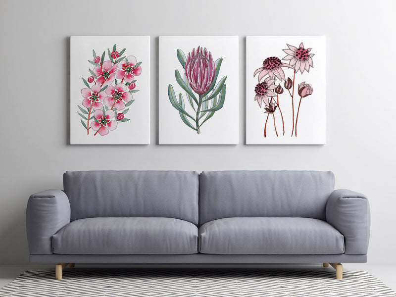 Wild Beauty of Australian Flowers in 3 Set Tea Tree + Queen Protea + Pink Flannel Canvasses and Prints Collection