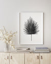 Fan Palm Black and White Wall Art Print