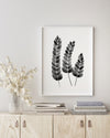 Fern Version 2 Black and White Wall Art Print