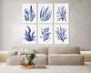 Set of 6 Blue Corals and Seaweed Canvasses and Prints Watercolour Wall Decor