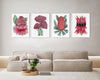 Wildflower Symphony 4 Set Majestic Watercolour Canvasses and Prints Collection of Waratah, Rice Flower, Banksia Menzii, and Sturt's Desert Pea