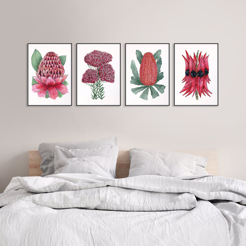 Wildflower Symphony 4 Set Majestic Watercolour Canvasses and Prints Collection of Waratah, Rice Flower, Banksia Menzii, and Sturt's Desert Pea