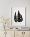 Sword Leaf Fern Black and White Wall Art Print