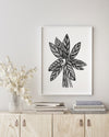 Ctenanthe Grey Star Black and White Wall Art Print