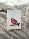 Pink Robin Original Painting Watercolour Wall Art Size 5 x 7 in