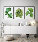 Lounge Room Wall Art Watercolour Plant Prints Canvasses Green Leaf Art Decor