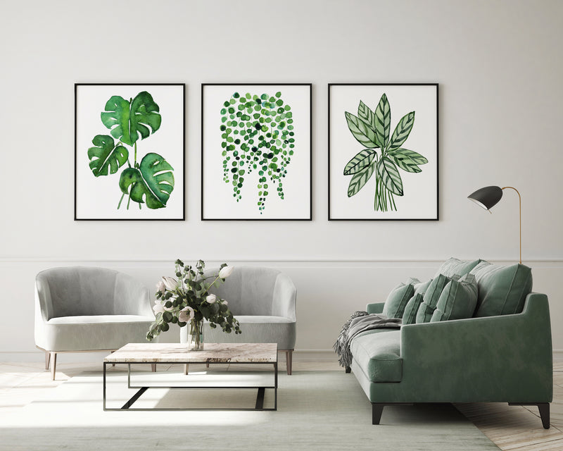 Green Plant Artwork Watercolour Prints and Canvasses Monstera String of Pearls Ctenanthe Wall Art