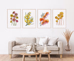 Australian Native Artwork Floral Set of 4 prints Daisies + Wattle + Pea + Craspedia