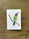 Australian Native Birds Cards Pack 4x6" With Envelope