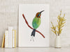 Bee Eater Wall Art Print