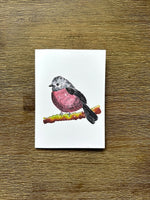 Australian Native Birds Cards Pack 4x6" With Envelope