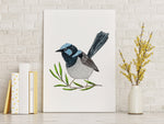 Superb Fairywren Wall Art Print