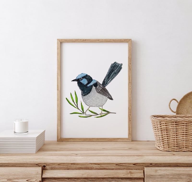 Superb Fairywren Wall Art Print