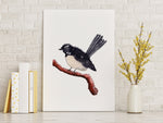 Willy Wagtail Wall Art Print