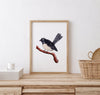 Willy Wagtail Wall Art Print