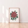 Banksia Coccinea Wall Art Print