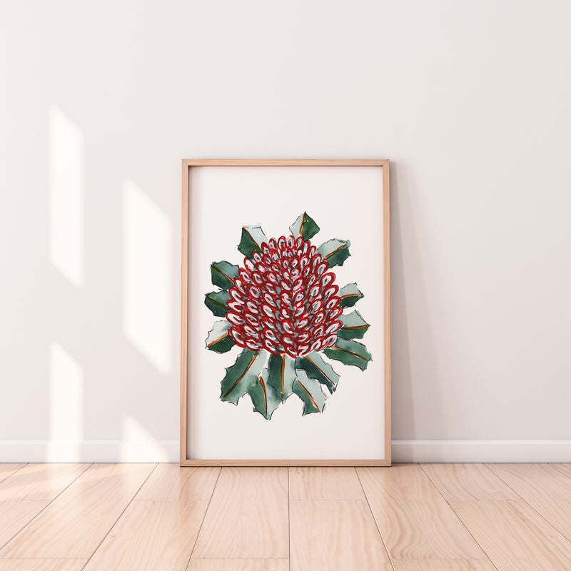 Banksia Coccinea Wall Art Print