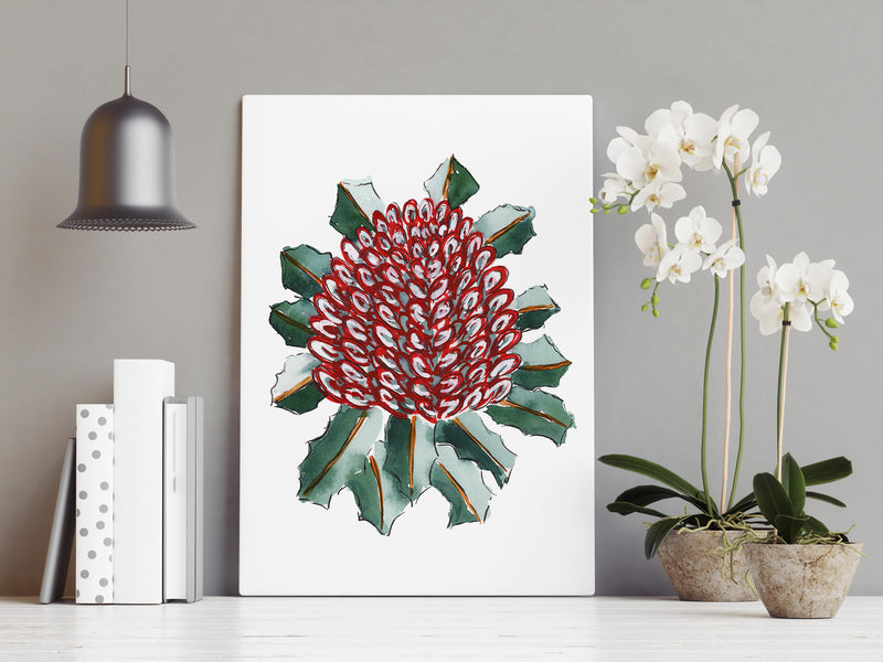 Banksia Coccinea Wall Art Print