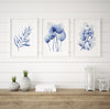 Blue Hamptons Wall Art Decor Watercolour Print Set of 3 Olive Eucalyptus Homalomena