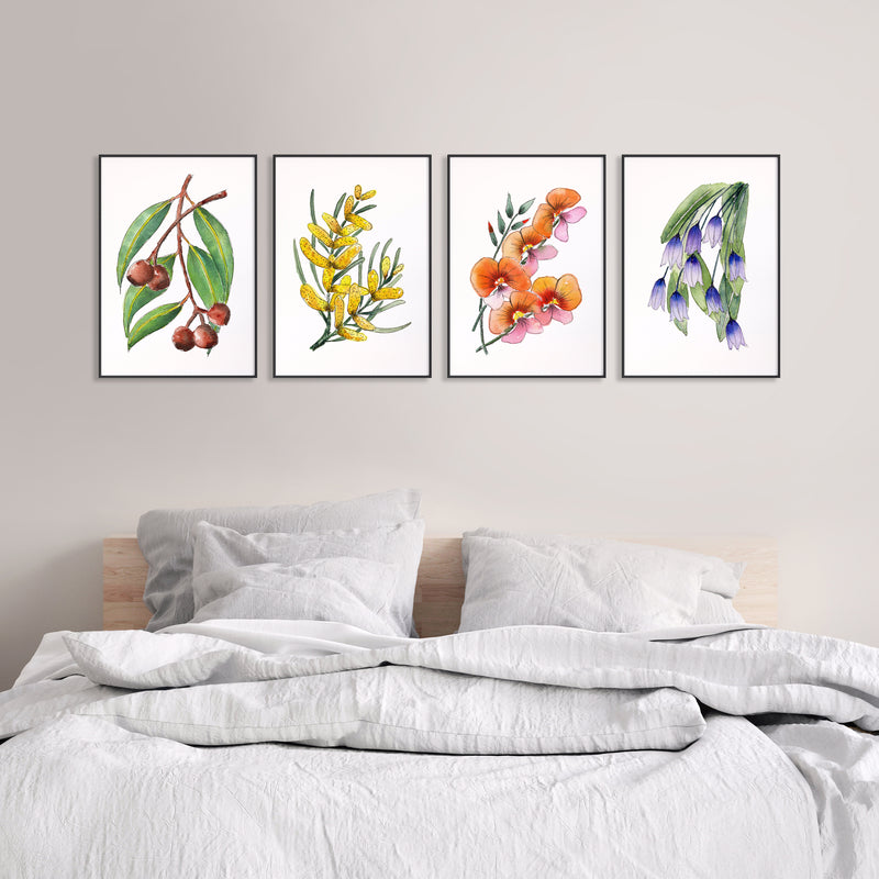 Colourful Floral Art Set of 4 Australian Native Flower Prints Gumnuts + Wattle + Pea + Bluebells