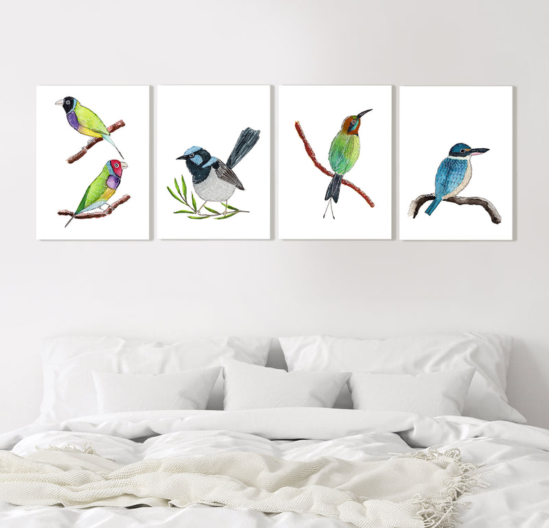 4 Set Australian Native Birds, Gouldian Finches + Superb Fairywren + Bee Eater + Kingfisher, Watercolour Prints and Canvasses