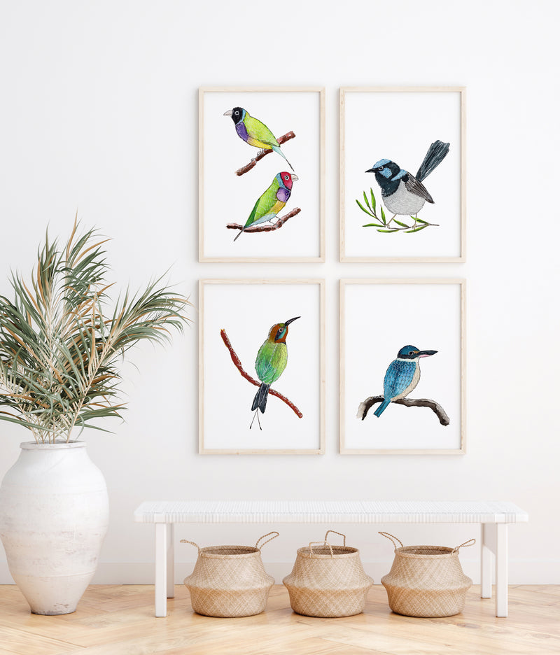 4 Set Australian Native Birds, Gouldian Finches + Superb Fairywren + Bee Eater + Kingfisher, Watercolour Prints and Canvasses