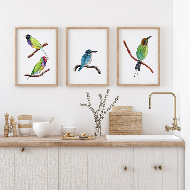 Set of 3 Australian Native Birds Prints and Canvasses Gouldian Finches + King Fisher + Bee Eater