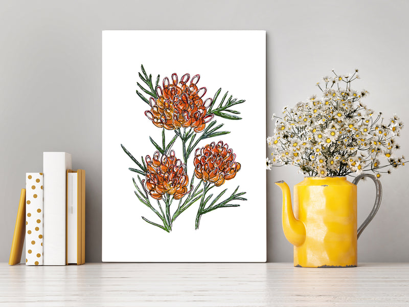 Grevillea Winpara Gold Wall Art Print