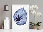 Begonia Rex Blue Print Leaf Watercolour Botanical Canvas and Print