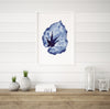 Begonia Rex Blue Print Leaf Watercolour Botanical Canvas and Print